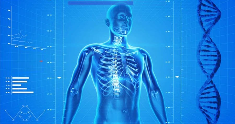 Δέκα παράξενες αλήθειες για το ανθρώπινο σώμα